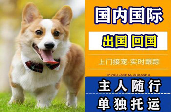 黔南州宠物托运公司黔南州宠物托运公司黔南州宠物托运公司
