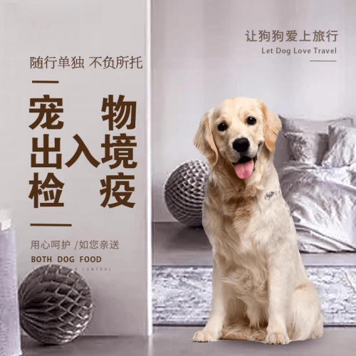 黔南州宠物托运到哥伦比亚猫狗宠物入境规定和