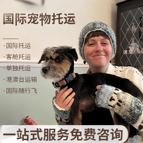 黔南州国际宠物托运到阿根廷宠物入境规定和要