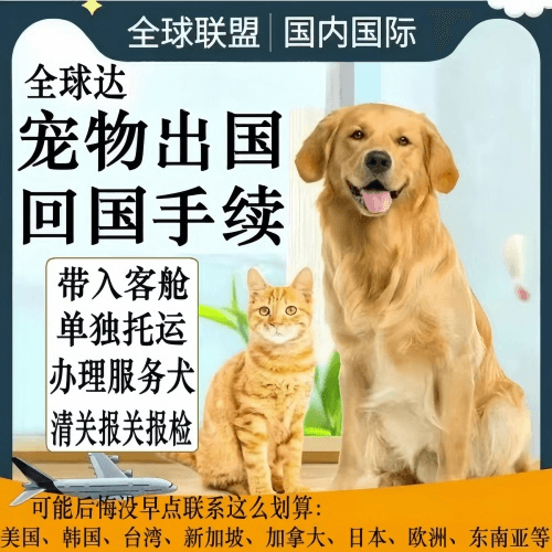 黔南州宠物托运到柬埔寨宠物入境规定和要求