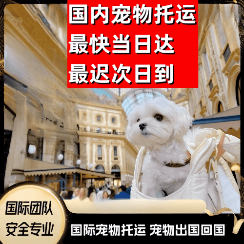 黔南州到澳大利亚（澳洲）宠物入境规定和要求